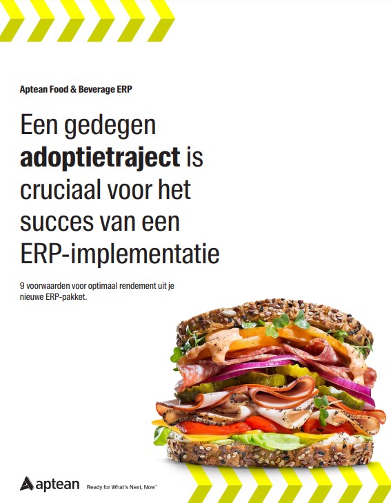 9 Important Steps for an Optimal Return on Investment from Your New ERP Solution [PDF in Dutch]